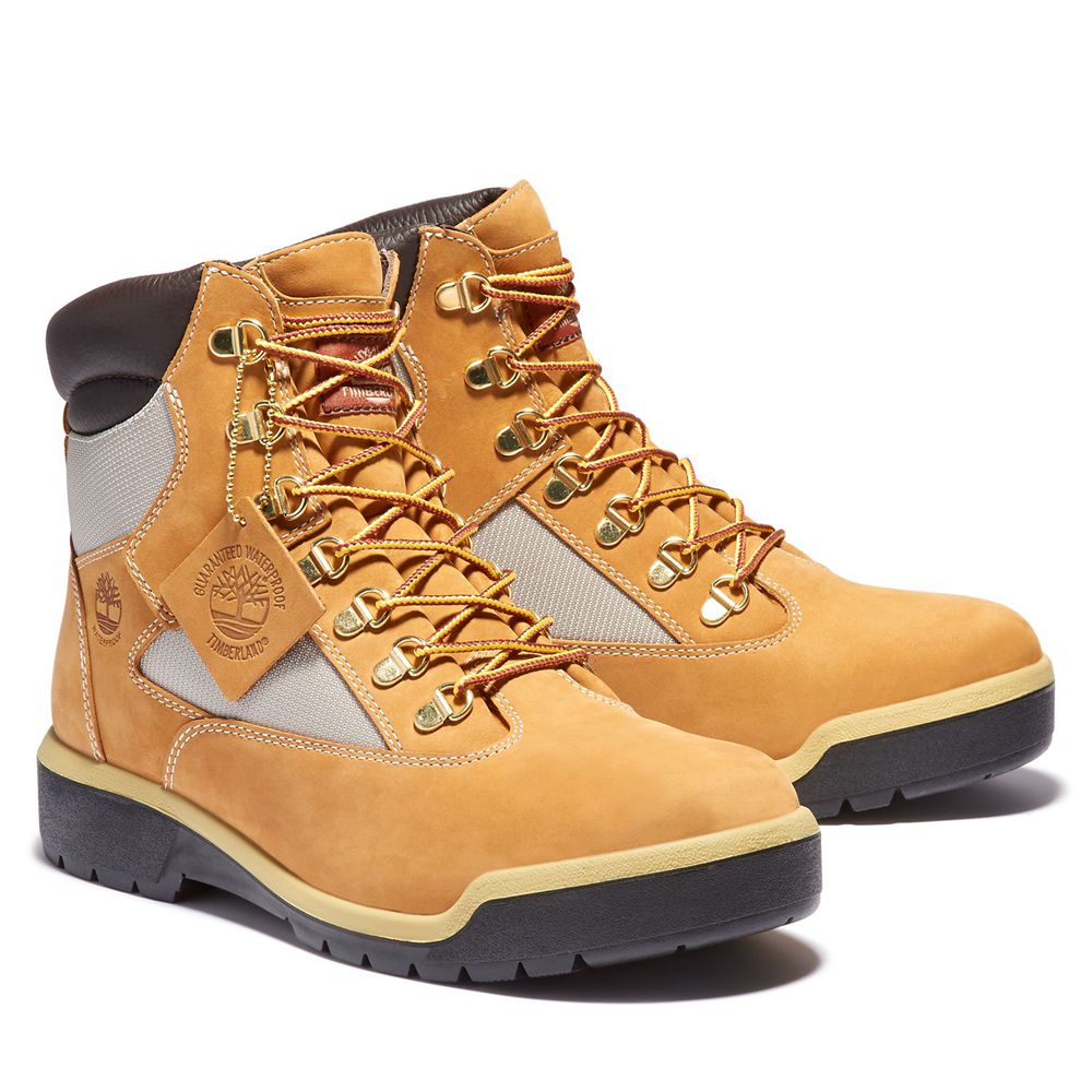 Bocanci 6-Inch Timberland Barbati Maro/Negrii - Waterproof Field - Romania - RUOVAK058